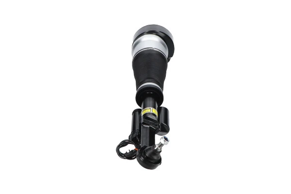 Air Suspension Strut